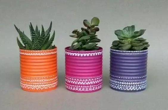 Potted Plant Containers